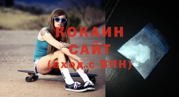 стаф Дмитровск