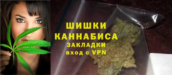 стаф Дмитровск