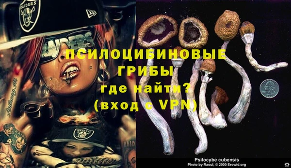 героин Дмитриев