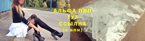 крисы Мегион