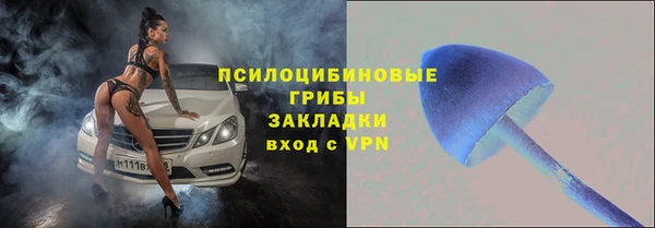 стаф Дмитровск