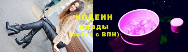 стаф Дмитровск