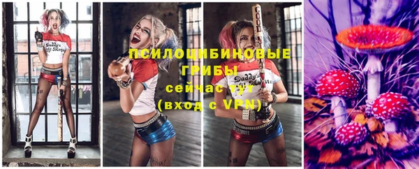 амф Дмитров