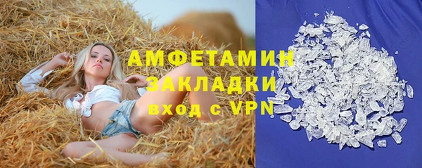 амф Дмитров