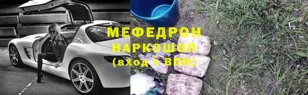 прущие грибы Медногорск