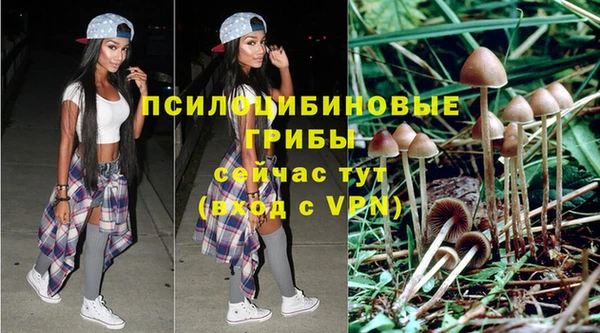 амф Дмитров