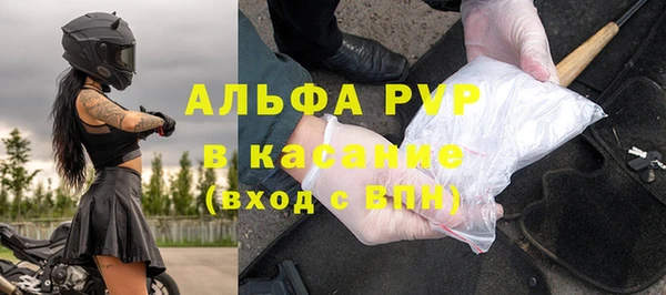 стаф Дмитровск