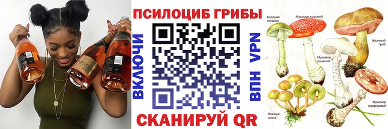 Псилоцибиновые грибы Psilocybine cubensis  hydra зеркало  Петров Вал  закладки 